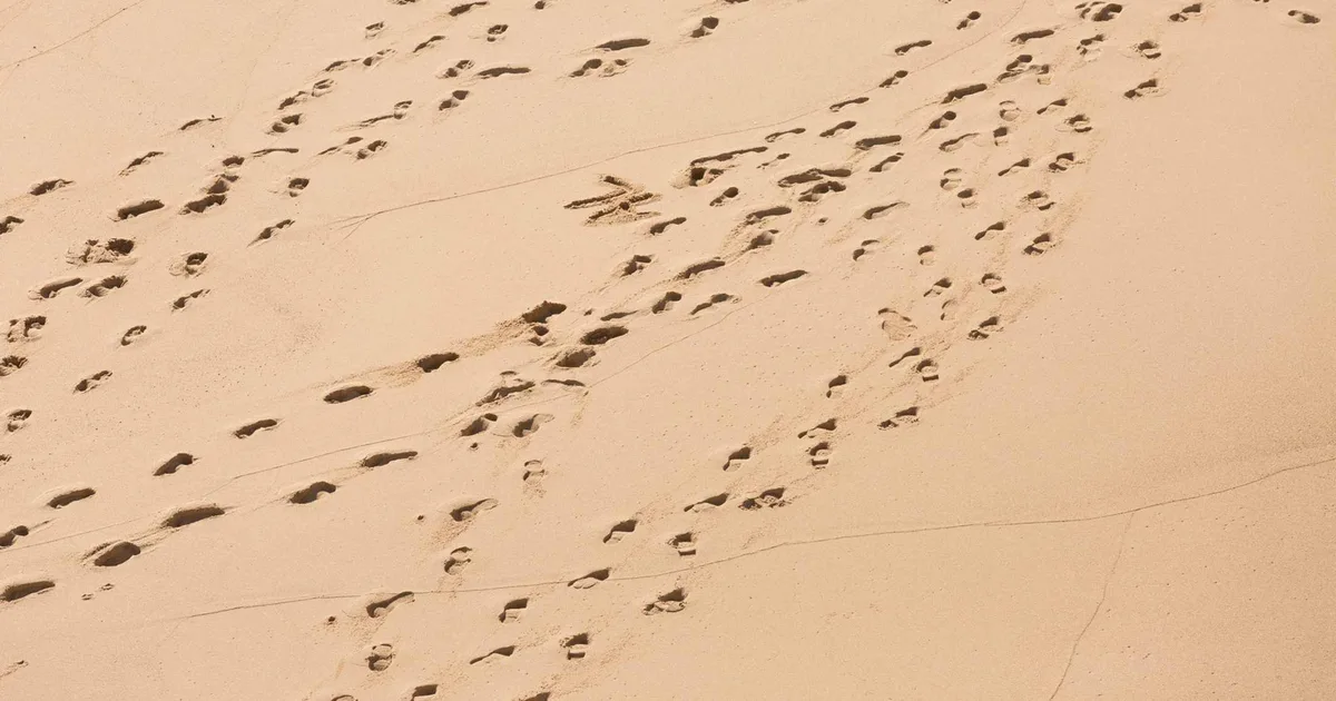 Fotspor i sand som krysser hverandre og danner spor i flere retninger